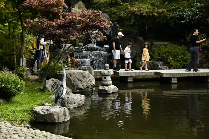 Holland Park