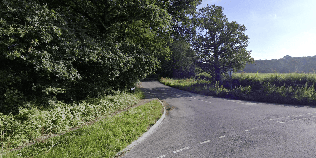 Two teens killed after Tesla crashes into tree in Surrey as man arrested Two teens killed after Tesla crashes into tree in Surrey as man arrested