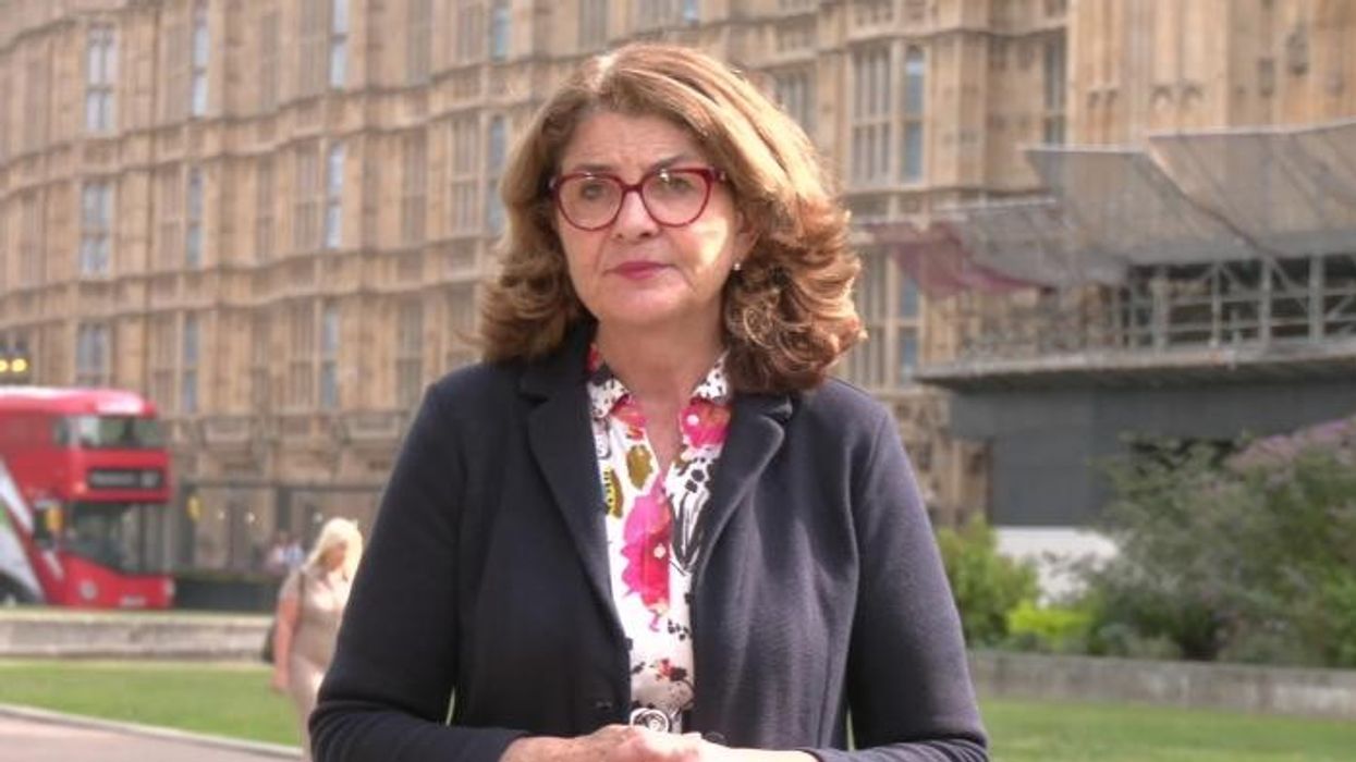 Labour MP signals 'biggest police shake-up in a generation' with potential disclosure on suspect’s immigration status