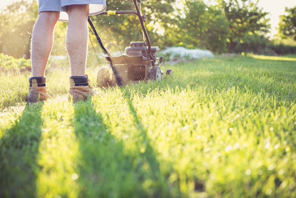 Homeowner cutting grass in garden