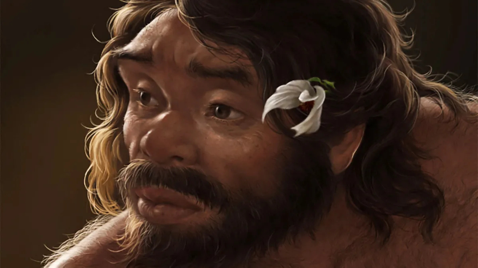 Homo longi