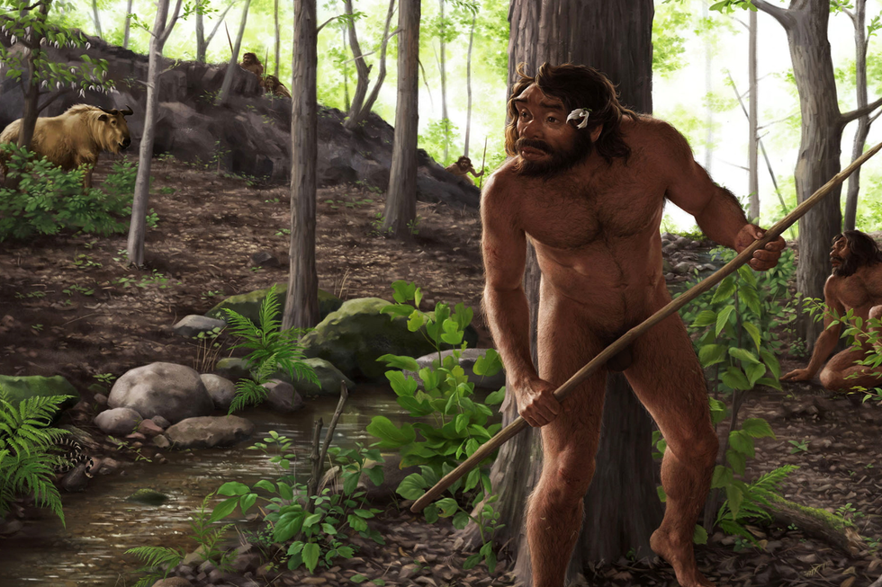 Homo longi