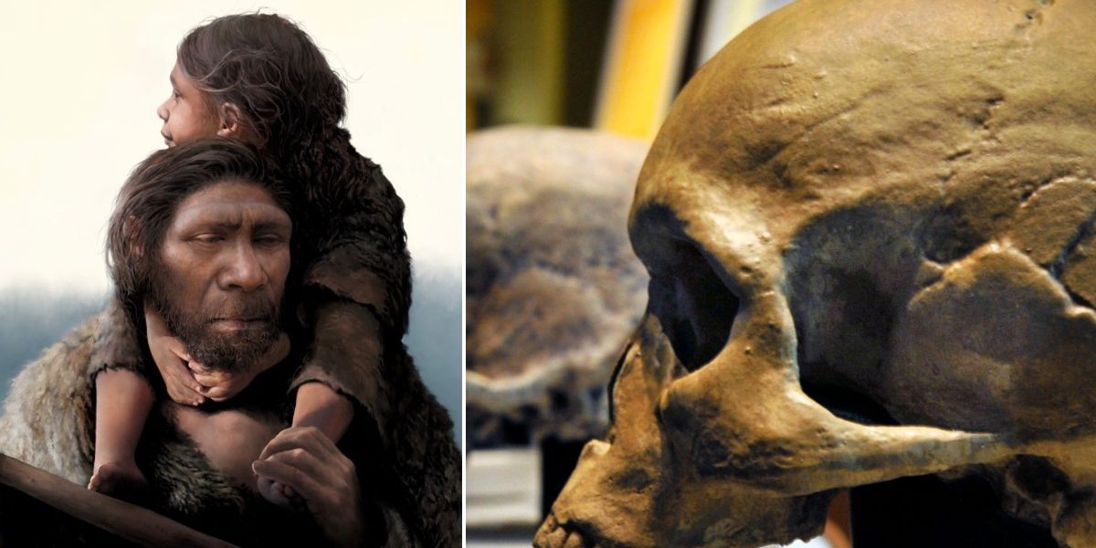 NextImg:Human origins: Neanderthals and Homo sapiens mated within past 50,000 years, new research suggests