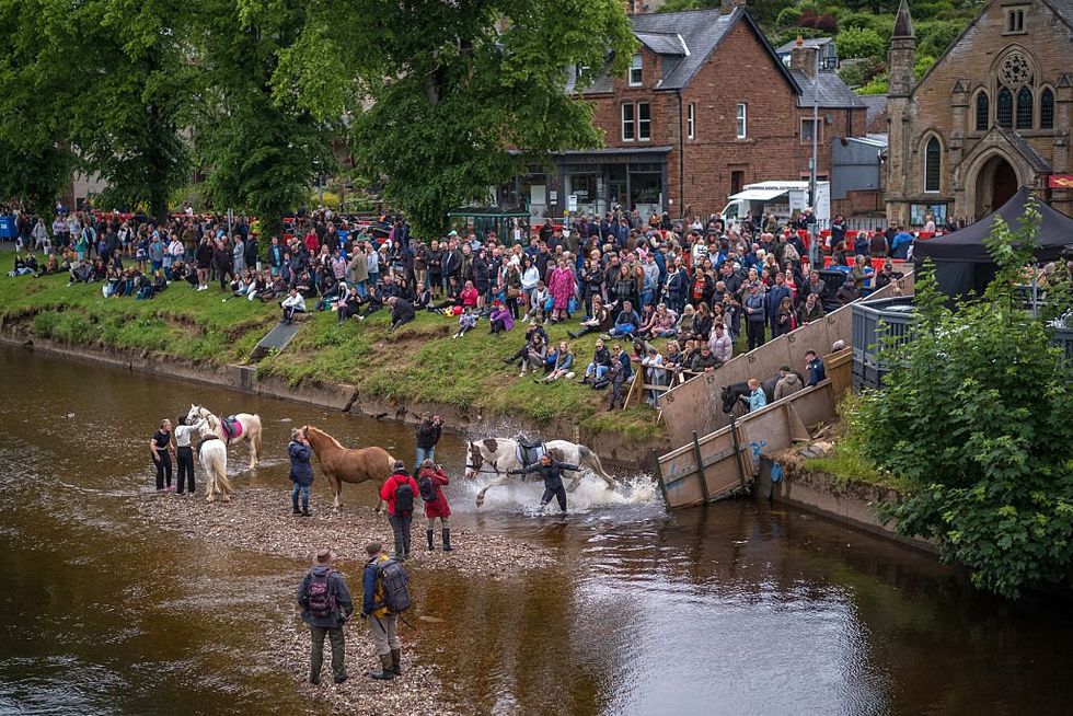 Horse fair