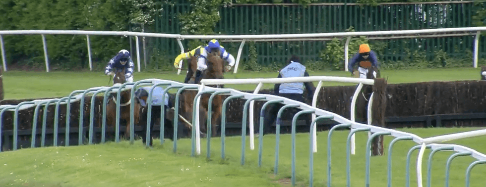 Horse racing incident
