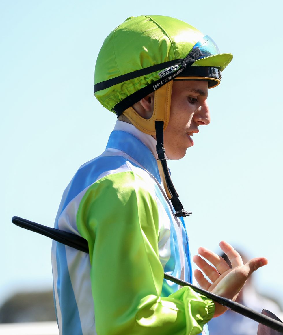 Horse racing Lewis German