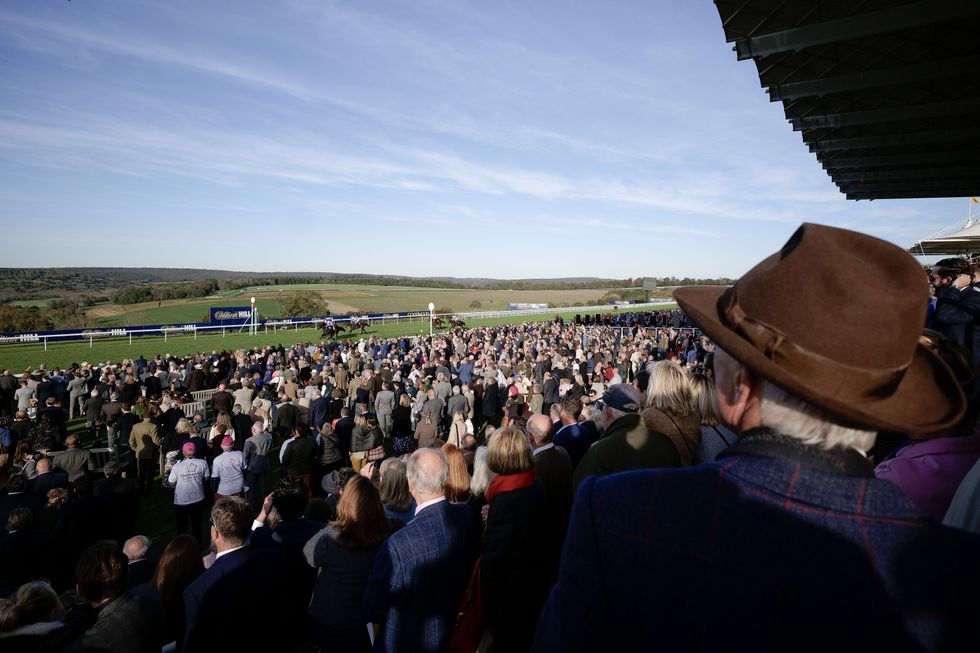 Horse racing