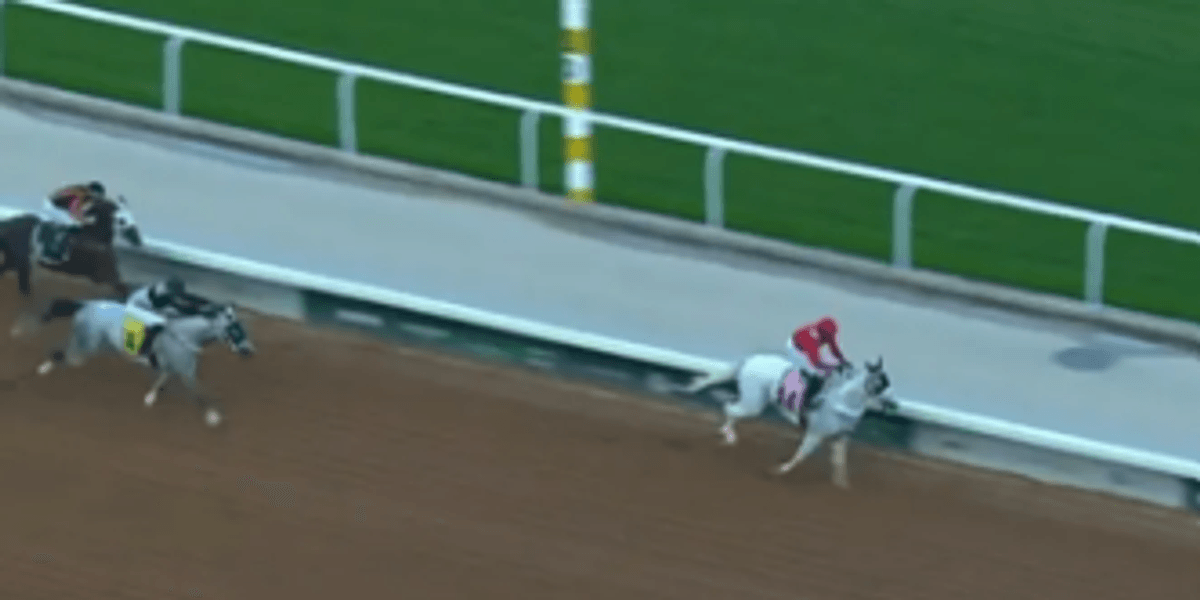 Horse racing outrage erupts as punters demand lifetime ban for jockey victim of ‘worst beat we will see all year’ Horse racing outrage erupts as punters demand lifetime ban for jockey victim of ‘worst beat we will see all year’