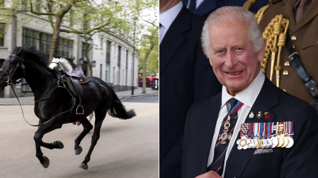 Horses, King Charles