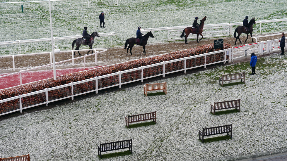 Horses make their way in from the snow covered gallops on day two of the 2025 Cheltenham Festival