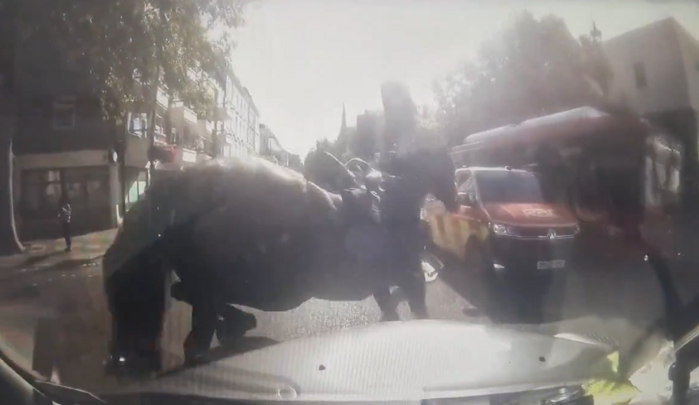 Horses on the loose in London