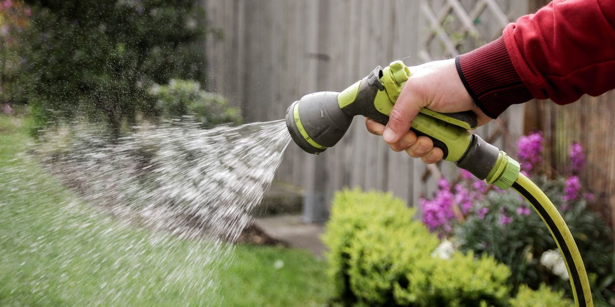 NextImg:'Cannot justify!' Yorkshire residents left furious as county-wide hosepipe ban comes into effect