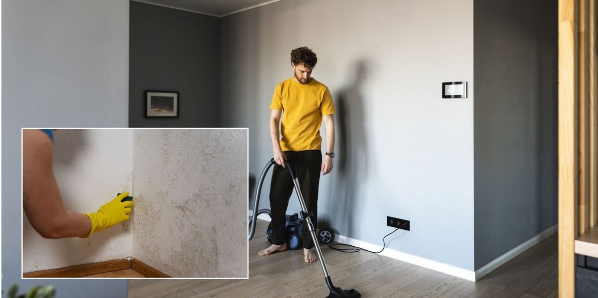 NextImg:How to get rid of mould: Experts share the mould hotspot that is 'not visible to the naked eye' in people's homes and how to clean it