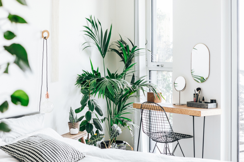 Houseplants in bedroom