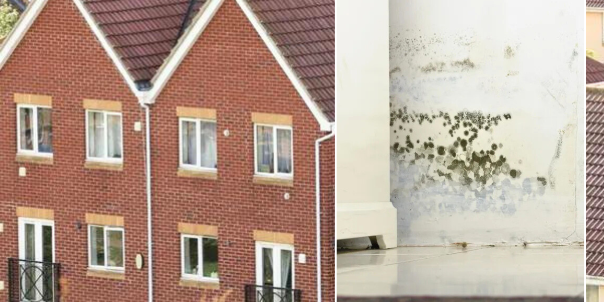 NextImg:Property: Untreated condition in your home can slash value by £53,000 - 'buyers will negotiate a lower price'