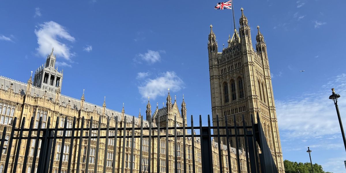 Intruder slips past guards to breach Houses of Parliament in broad daylight Intruder slips past guards to breach Houses of Parliament in broad daylight