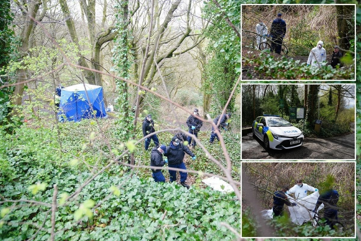 Human remains found wrapped in plastic at nature reserve belong to man aged around 40, police say