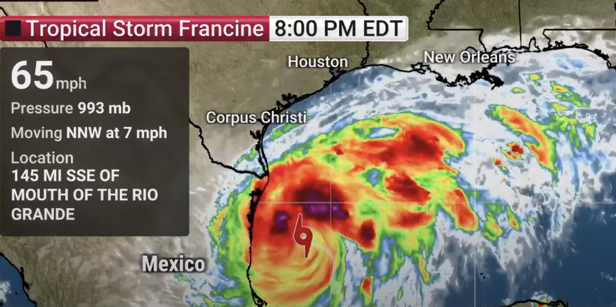 NextImg:US weather forecast: Millions of Americans warned 'leave home IMMEDIATELY' as Hurricane Francine to strike