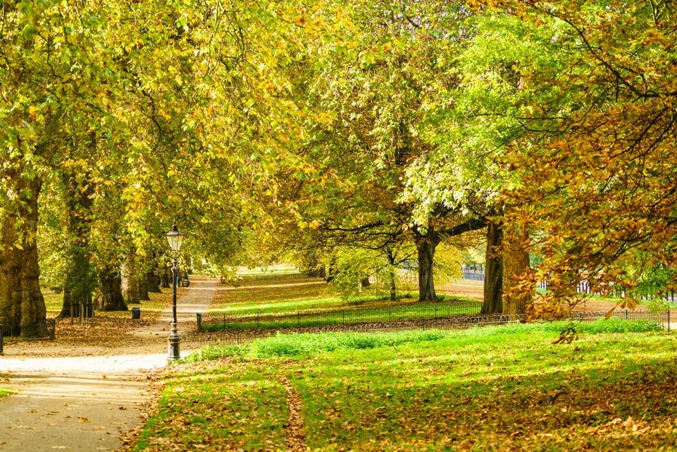 Hyde Park
