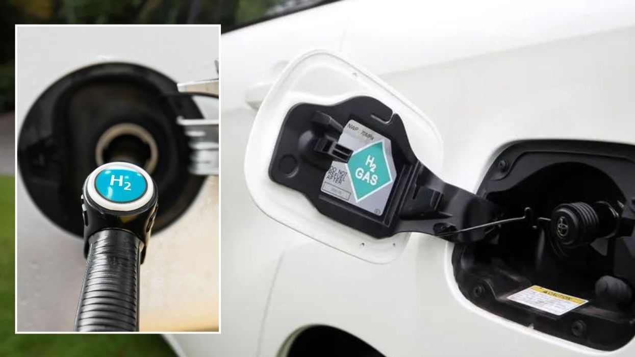 Hydrogen fuel pumps and a hydrogen vehicle