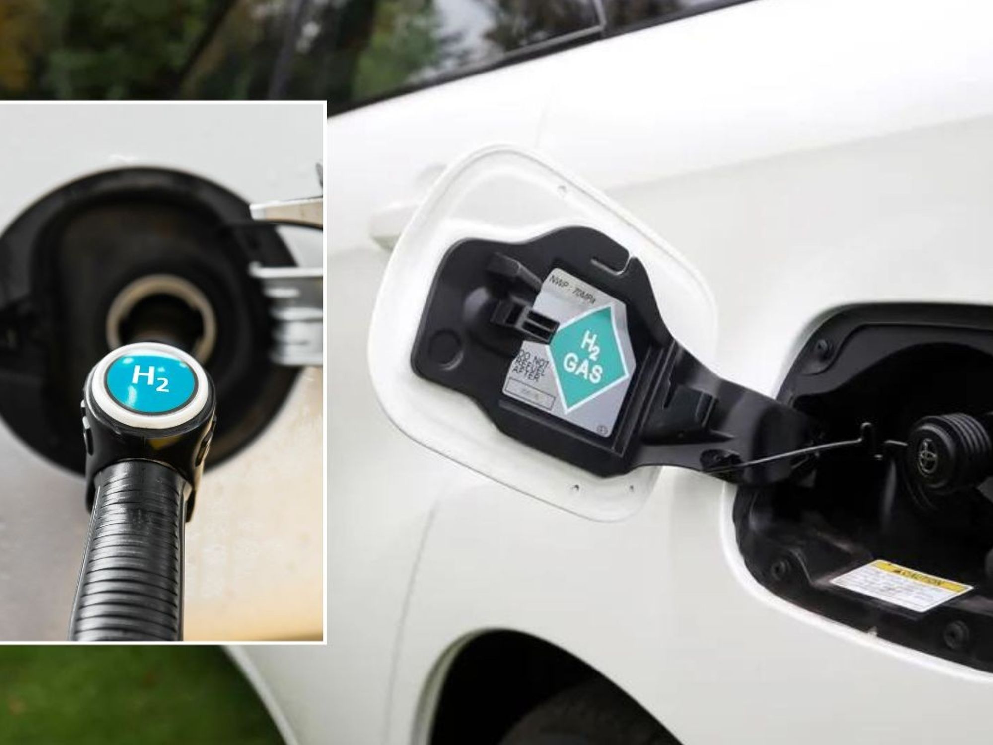 Hydrogen fuel pumps and a hydrogen vehicle