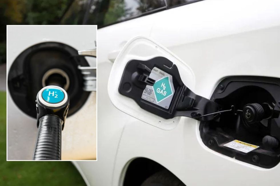Hydrogen fuel pumps and a hydrogen vehicle