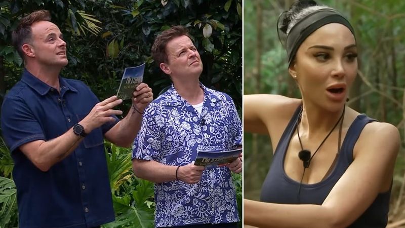 A-List Antics: The Craziest Celebrity Rumors You Won't Believe