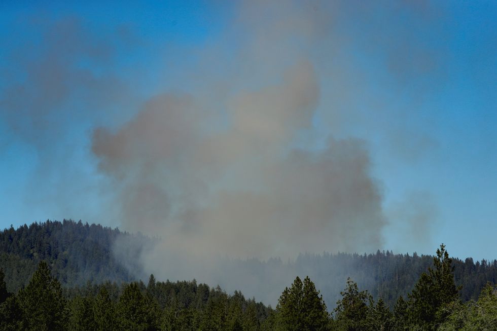 Idaho shooting
