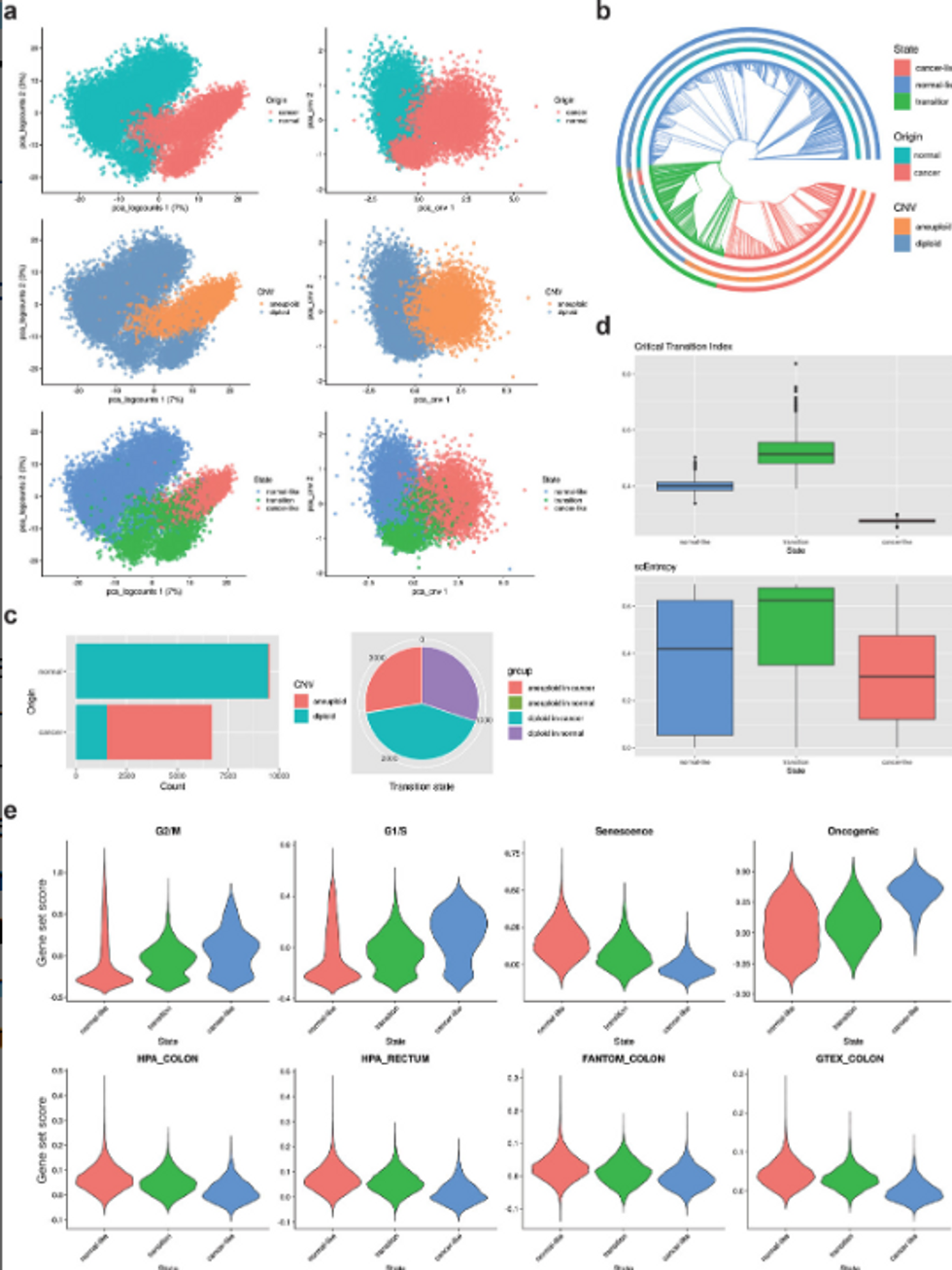 Identification of tumor transition state