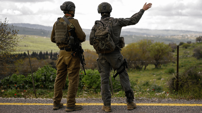 IDF soldiers