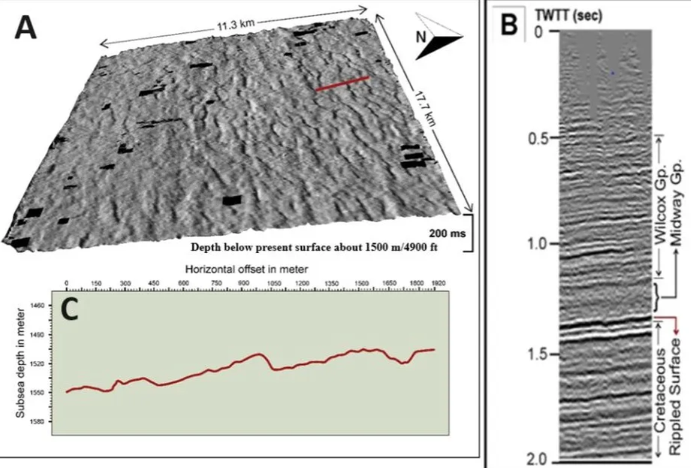 Illustration showing the topography of a megarippled surface