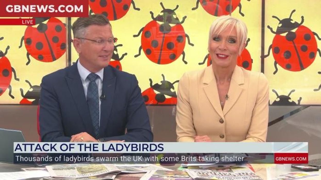 ‘I’m going!’ Dawn Neesom left in hysterics as Stephen Dixon walks off set after ‘embarrassing’ moment