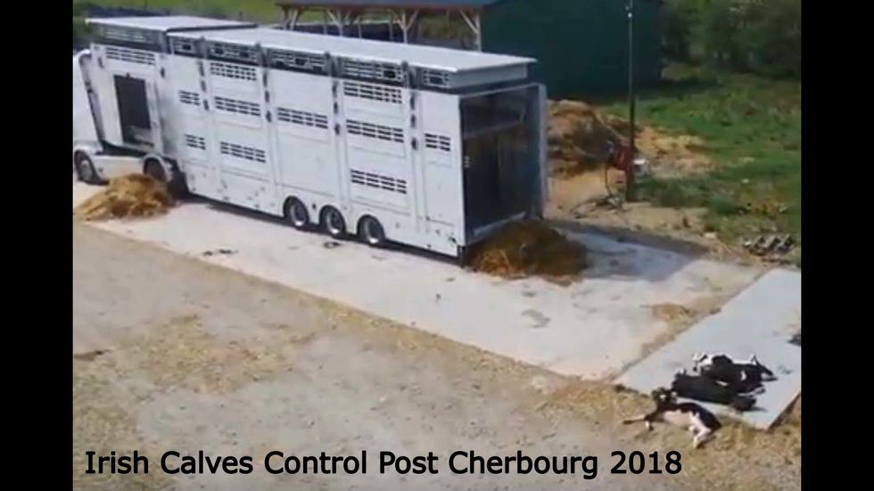 Image: Ethical Farming Ireland