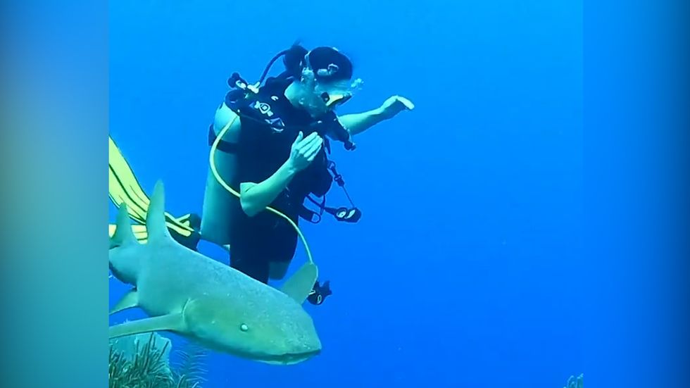 Image: Kensington Royal