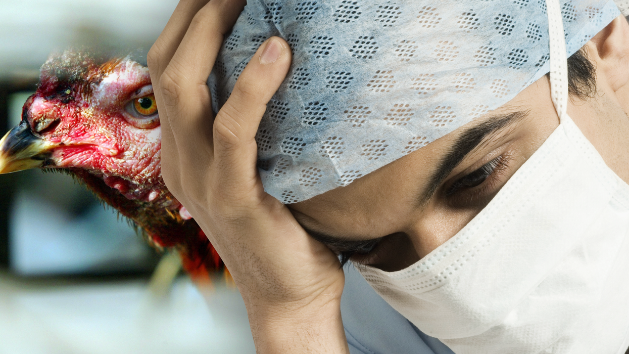 Image of a bird (left) next to a doctor holding his head (right)