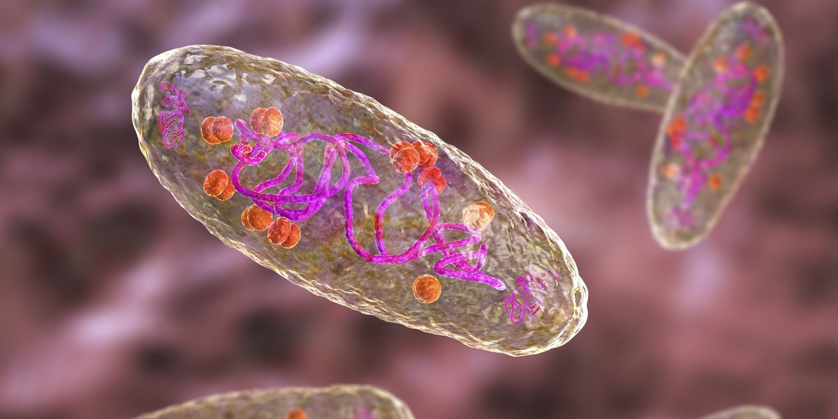 NextImg:Bubonic plague case confirmed in Oregon for first time since 2015