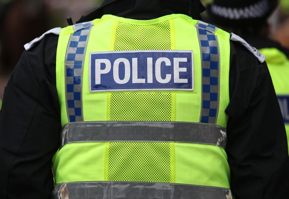 Man in his 60s mauled to death in fatal dog attack in quiet Welsh town