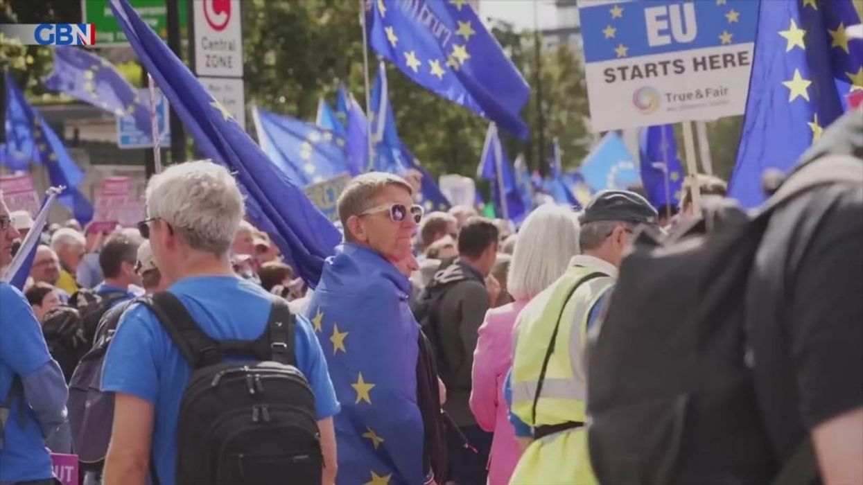 WATCH: Brexit-hating activists stumped when asked why they want to rejoin EU