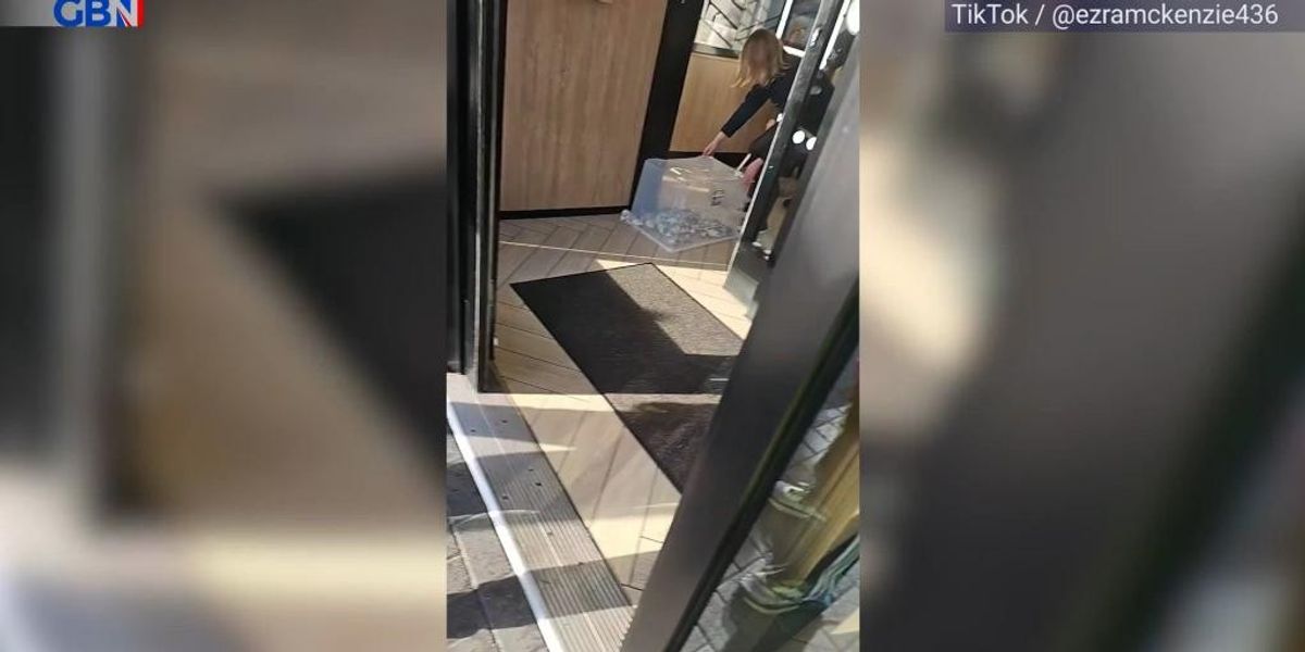 NextImg:WATCH: McDonald's staff clear branch of mice after shocking pro-Palestine stunt