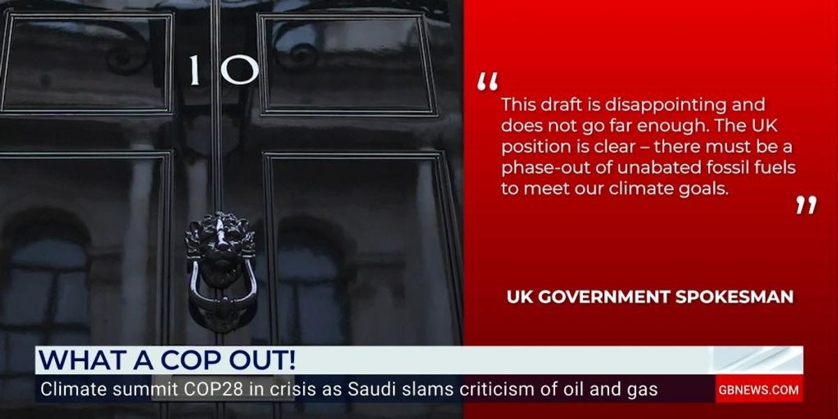 NextImg:Saudi Arabia threaten to SCUPPER COP28: 'I'm glad,' says Nana Akua