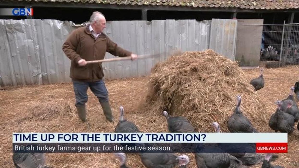 Turkey farmers bounce back this Christmas after devastating bird flu outbreak