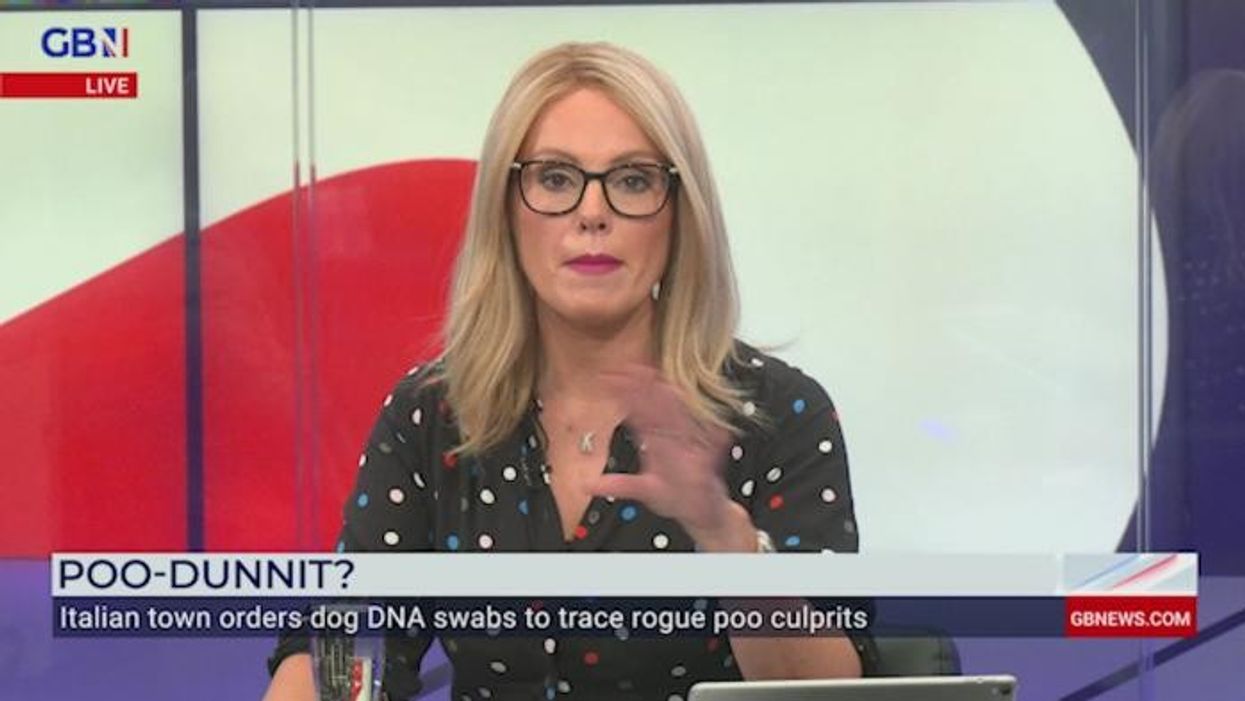 Italian province orders DNA tests for DOGS to trace poo and fine owners