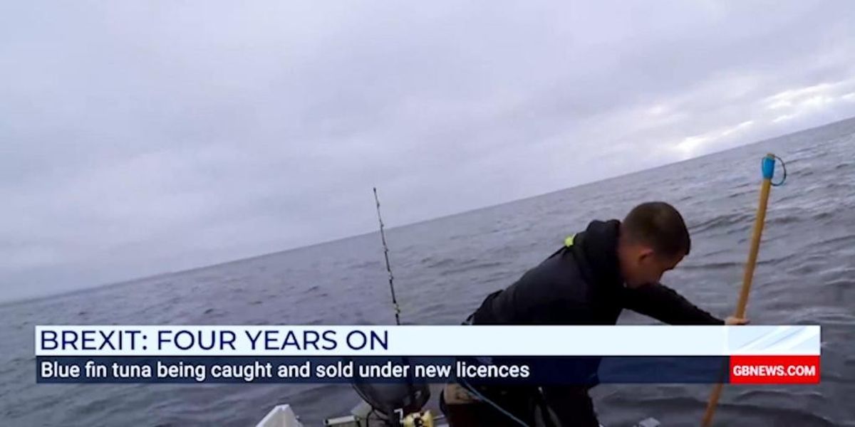 NextImg:British fishermen given new Brexit hope after bluefin tuna licences granted
