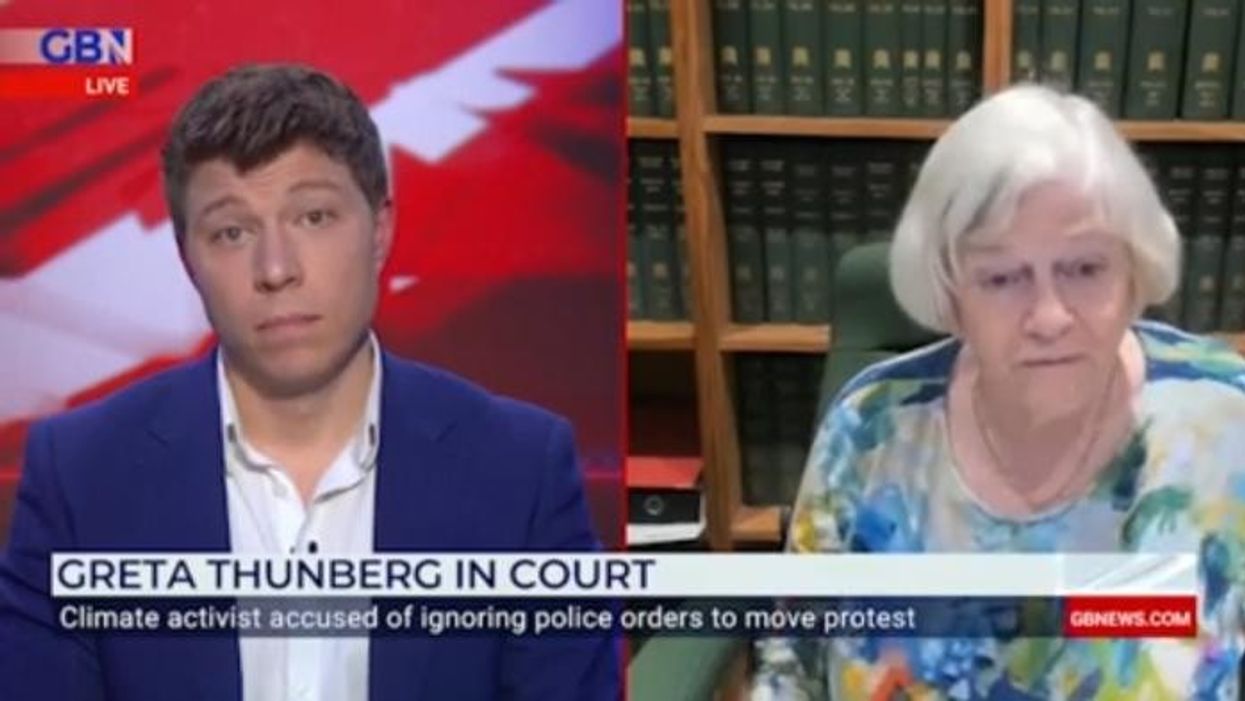 Ann Widdecombe hits out at ‘silly little school-girl’ Greta Thunberg