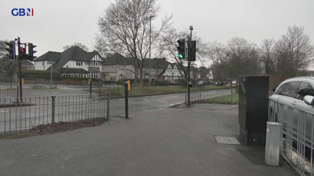 ULEZ protester blasts Sadiq Khan as crowds demonstrate in Sutton: 'Can't do anything but lie!'