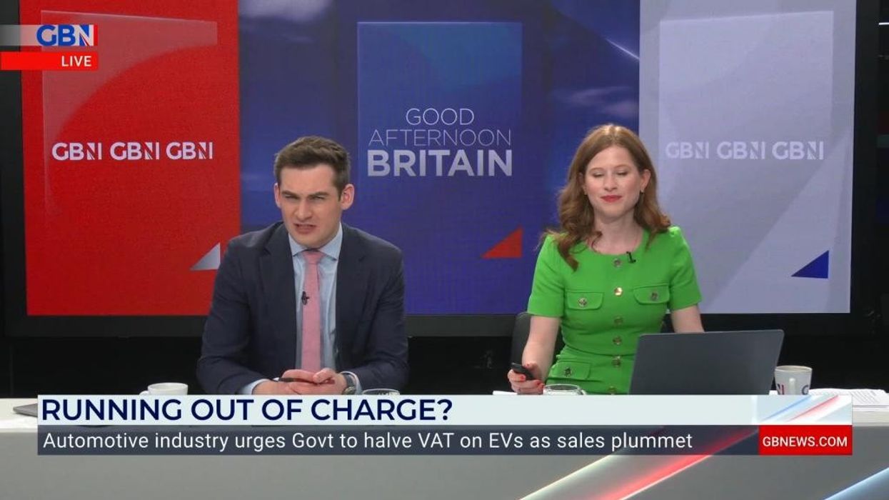 Electric vehicles defended by expert as sales plummet: 'Awful lot of discounts on the table!'