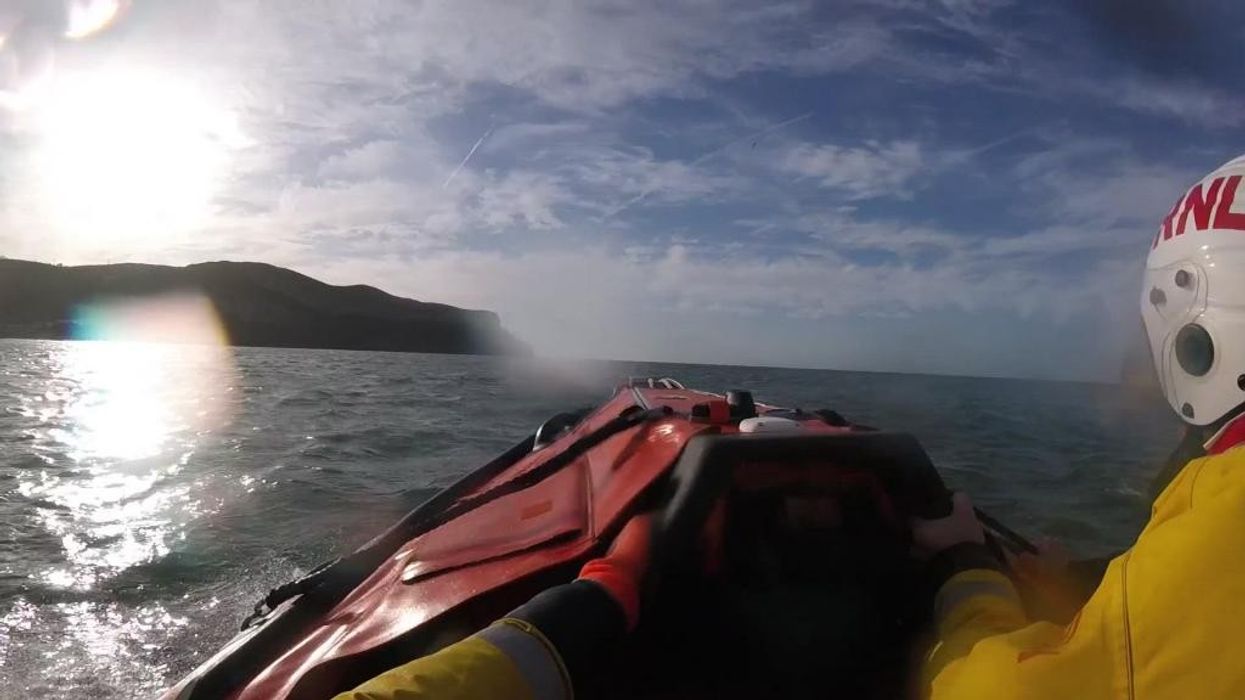 Watch the moment RNLI heroes rescue dog struggling to stay afloat in Wales