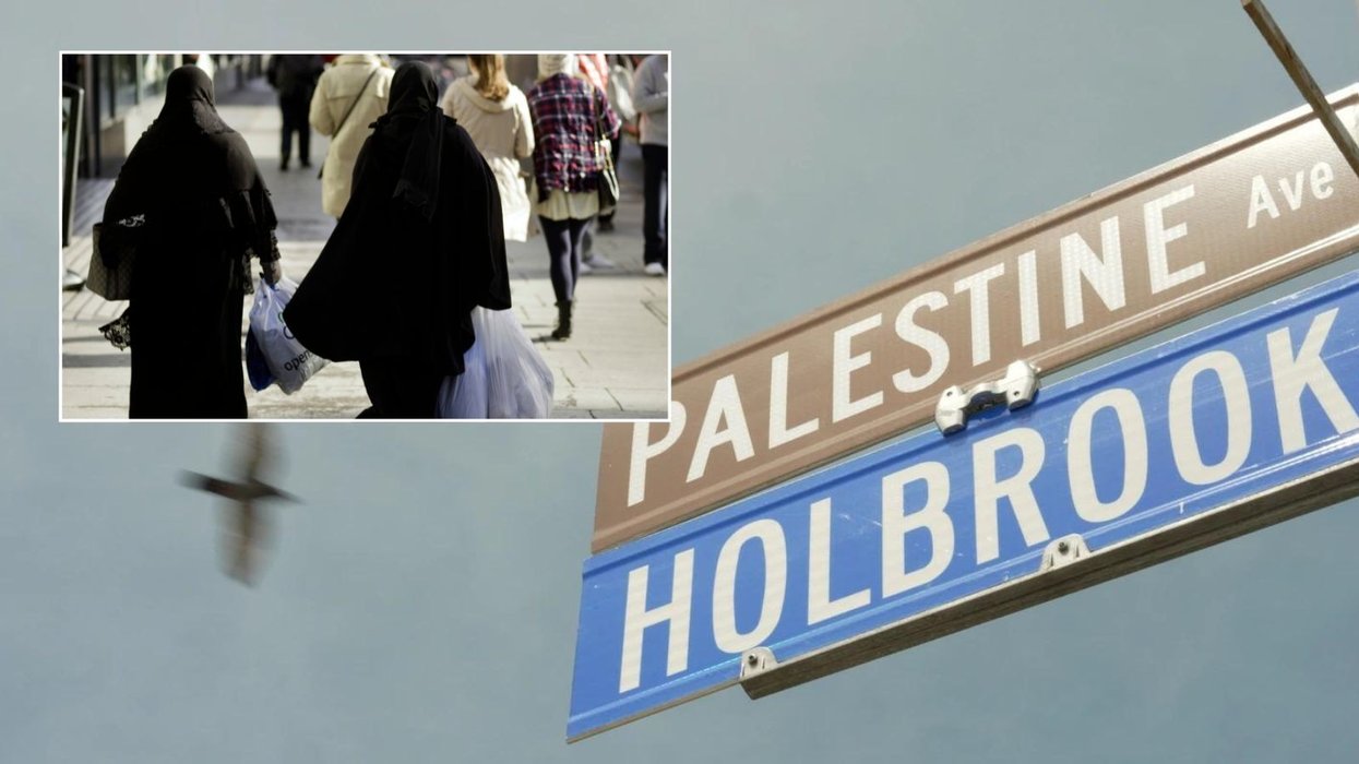 Palestine Avenue & animal sacrifice in gardens: How America's Muslim city could be an open-borders warning bell for Britain