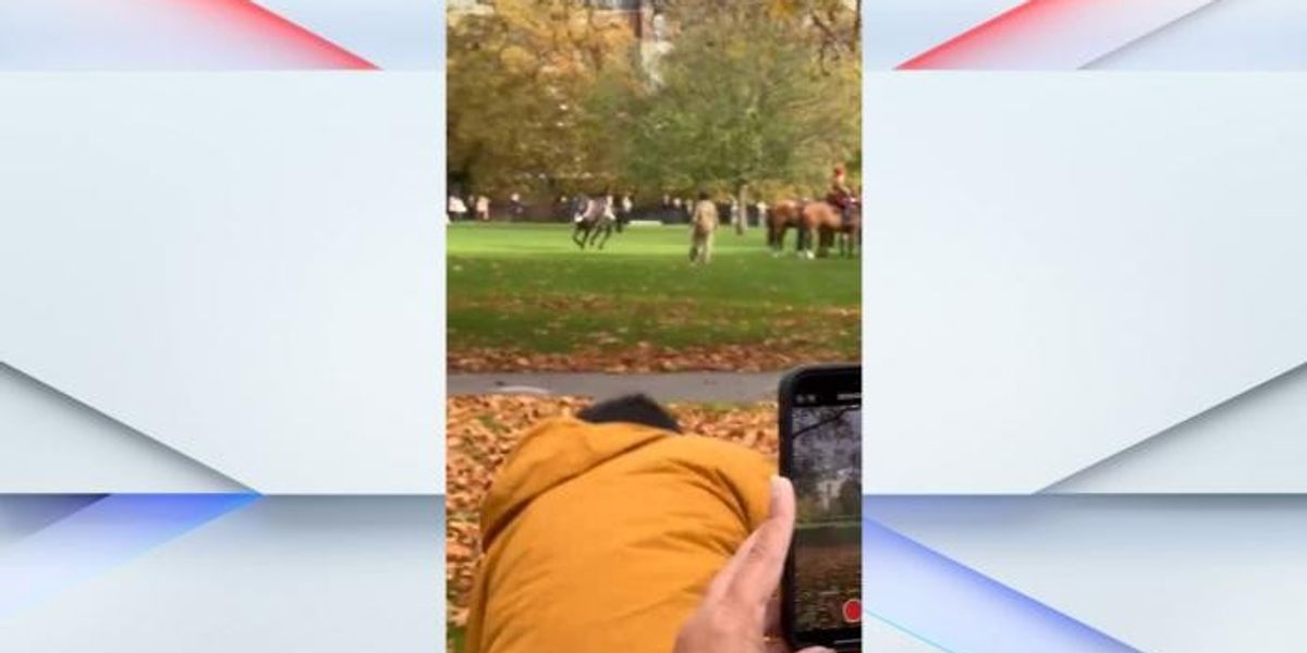 NextImg:WATCH: King’s Troop horse breaks loose in Green Park ahead of gun salute