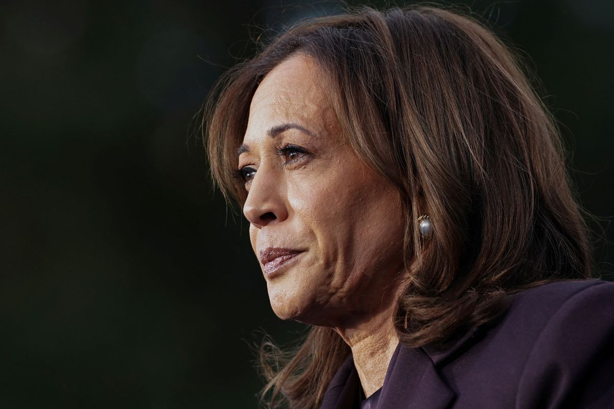Kamala Harris campaign spent $1.5bn on election with $24k on Uber Eats and ice cream